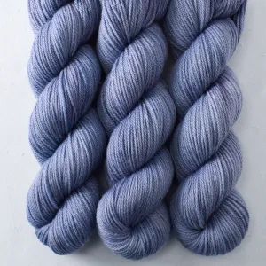 Blue Mussel - Intrepid