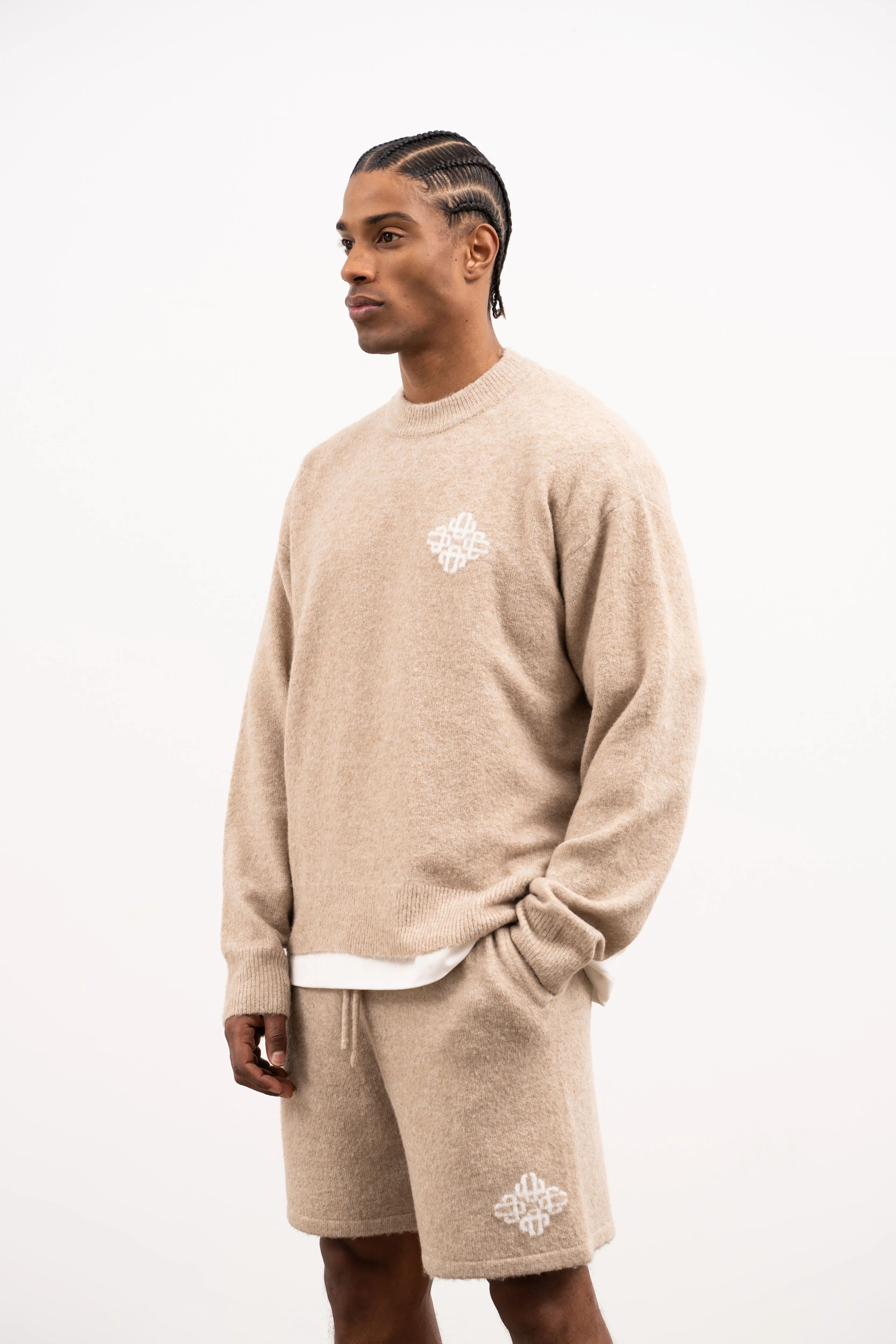 LIGHTWEIGHT FLUFFY KNIT EMBLEM CREW - BEIGE