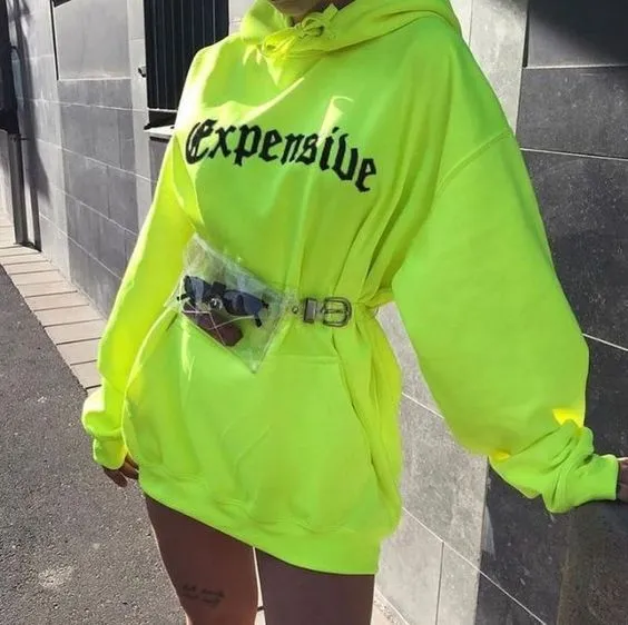SXV  'EXPENSIVE’ Printed Cool Aesthetic Sweatshirt Hoodie