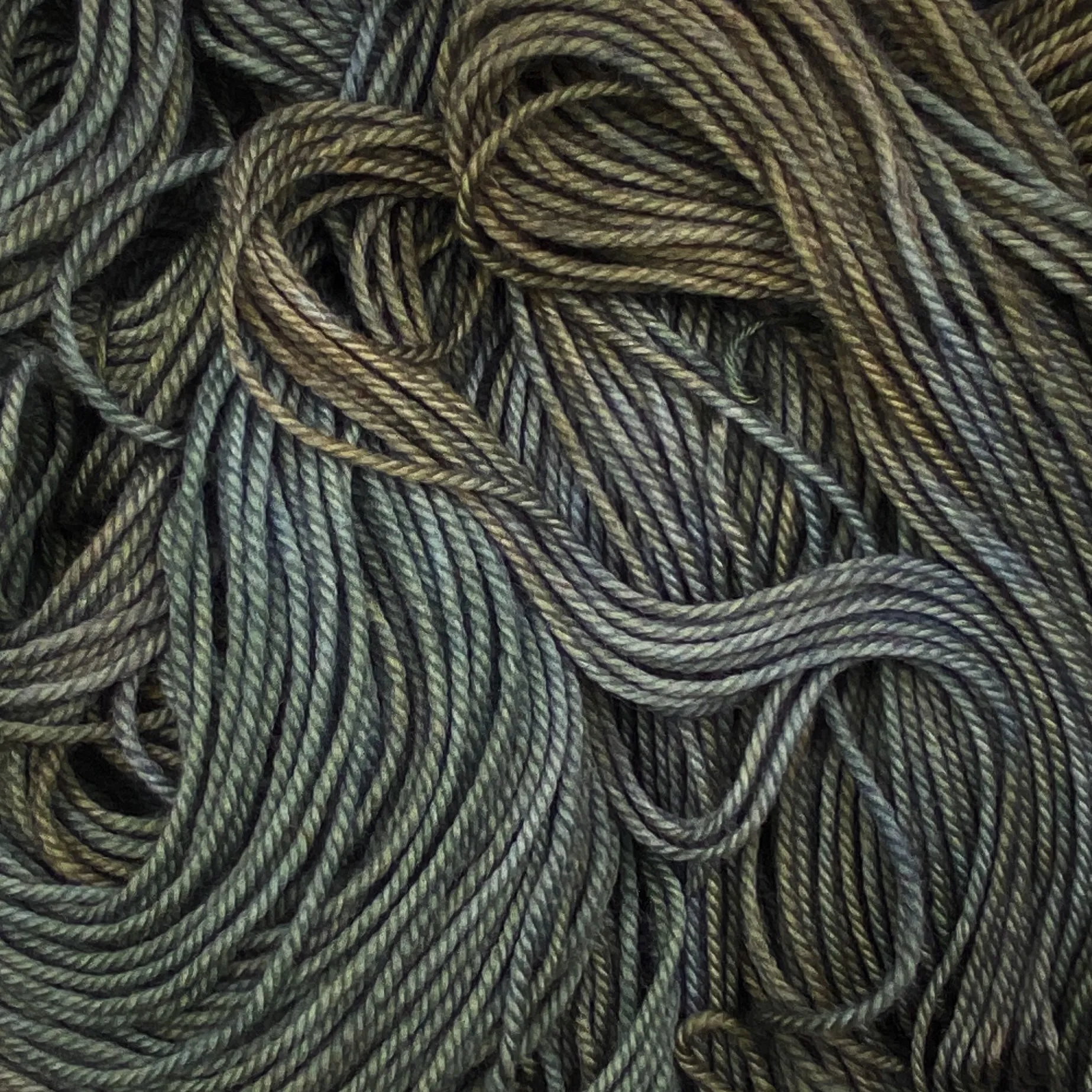 Tisbury Sport - Sophisticated